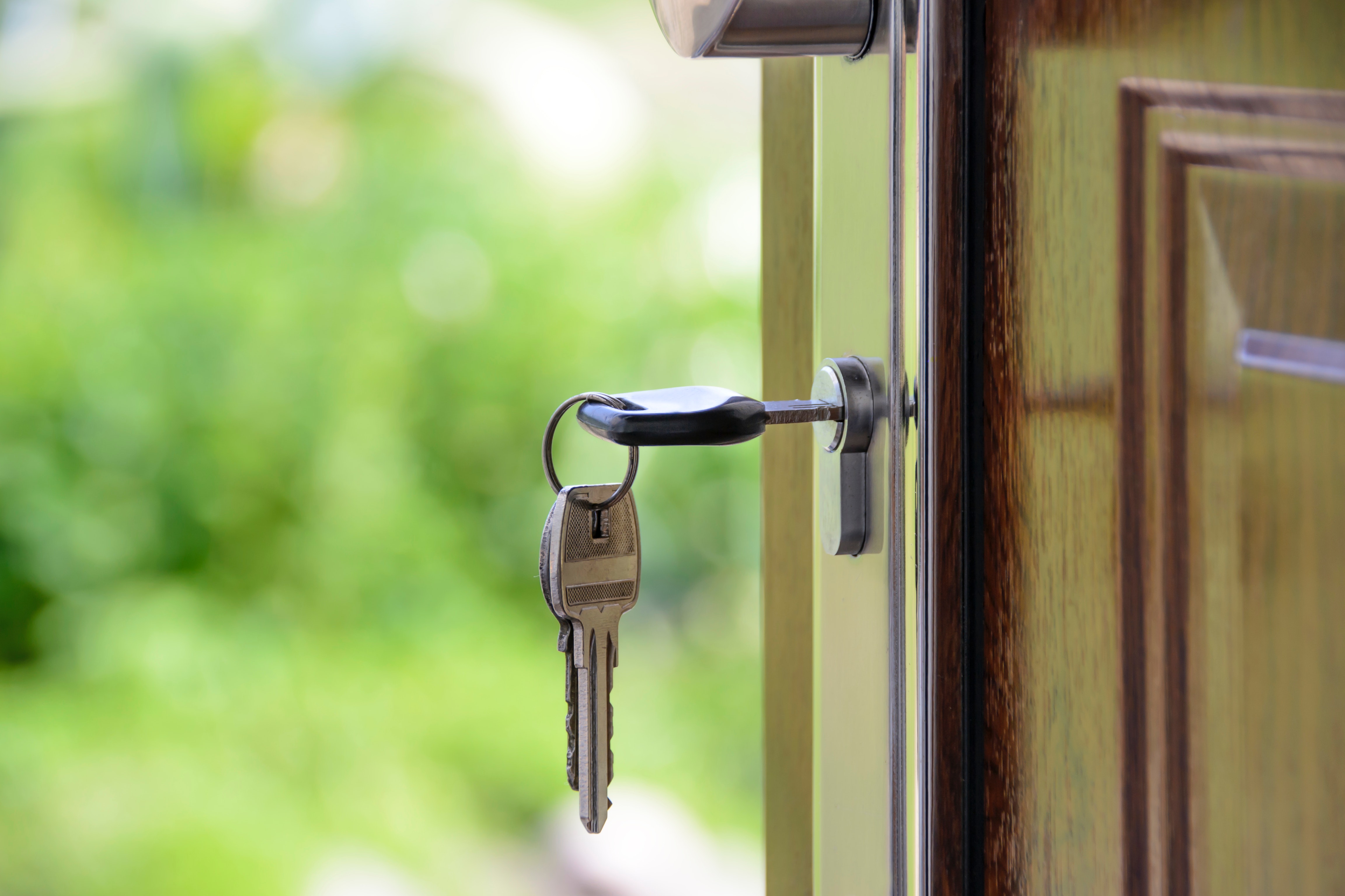 Two keys on a keyring, one inside a door, which is open, showing a blurry green exterior in the background.